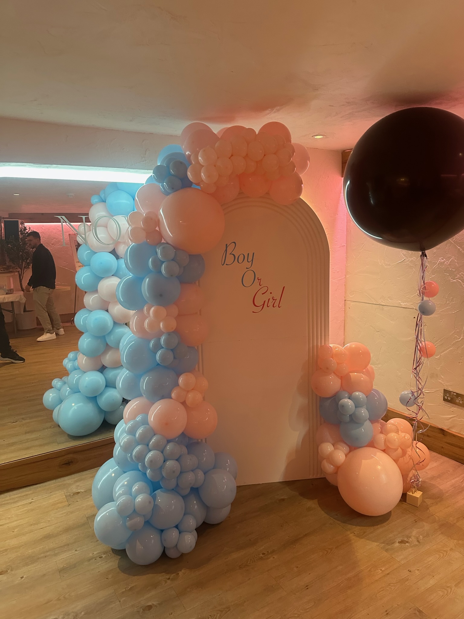 Photo Backdrop Sailboards